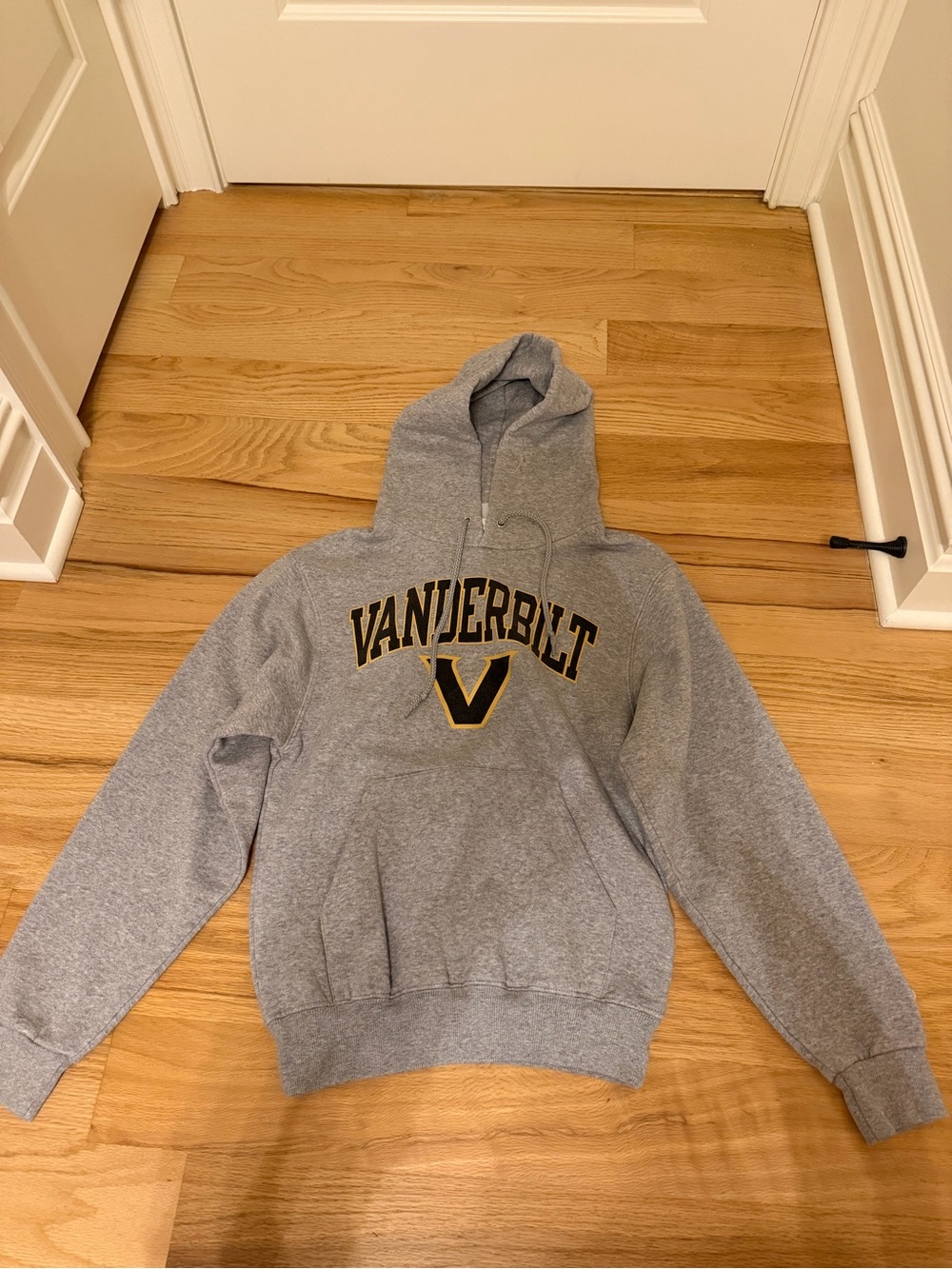 Champion Gray Hoodie with Black and Gold Lettering